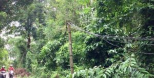 Zaman Now Masih Ada Bambu Jadi Tiang Listrik di Bulukumba