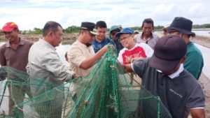Sengatan Udang Windu Lampeso, Pemantik Nyali Wagub Sulsel Andi Sudirman (3)