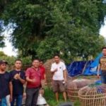 Polres Jeneponto amankan warga Bulukumba saat menggerebek judi sabung ayam di Desa Maero, Kecamatan Bontoramba