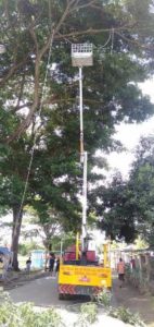 Dinas LHK Pangkas Pohon Depan Lapangan Gelora Sinjai