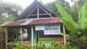 Ketua TP PKK Lutra Prihatin Lihat Posyandu Merpati Putih