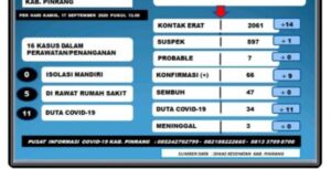 Pasien Corona Pinrang Bertambah 9 Kasus