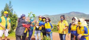 LCMR Tanam 1.050 Bibit Pohon Di Tiga Desa