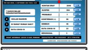 Pasien Positif Corona Pinrang Bertambah 5 Kasus