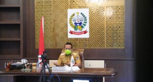 Wagub Sulsel Bahas Kesiapan Pemprov Hadapi Covid-19 Di Simposium Nasional
