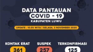 Luwu Terendah Kasus Covid-19 Di Sulsel