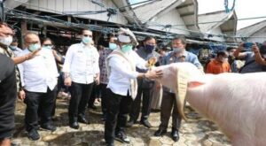 Mentan SYL Kunjungi Pasar Hewan Toraja Utara, Ini Janjinya