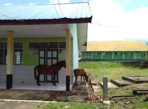 Viral Kuda Masuk Sekolah, Kadis Pendidikan Bantaeng Panggil Kepsek Ini