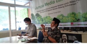 Industri Kayu Sulsel Anjlok, Pembalakan Liar Meningkat