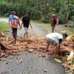 Aliran listrik Desa Puncak Kecamatan Sinjai putus, pukul 12.00 Wita, Kamis (27/5/2021), karena tertimpa tertimpa pohon tumbang.