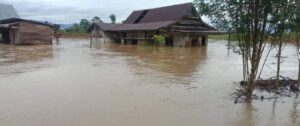 Sungai Rongkong Meluap, Lima Kecamatan Di Lutra Terendam Banjir