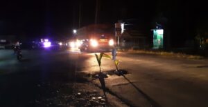 Warga Tanam Kelapa Di Jalan Trans Sulawesi Luwu Utara