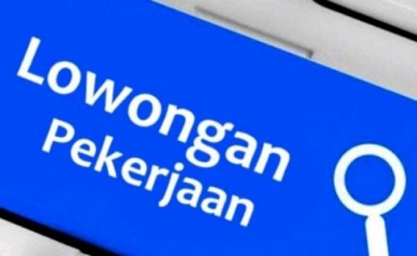 Informasi terbaru loker di BUMN, Senin, 15 Juni 2026. Mandiri Utama Finance (MUF) buka lowongan kerja 302 posisi untuk lulusan minimal D3