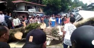 Pohon Tumbang Di Pangi Tana Toraja Timpa Mobil Angkot, Satu Penumpang Tewas