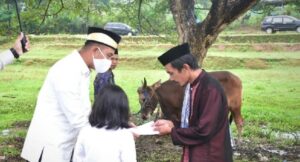 PHBI Sinjai Catat Hewan Kurban Capai 1.055 Ekor