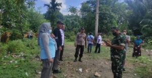 PMK Serang Ratusan Ternak Di Luwu Utara