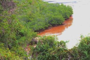 Koalisi Advokasi Tambang Sebut PT Panca Digital Solution Di Lutim Bermasalah