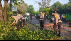 Pohon Tumbang Tutupi Jalan, Brimob Bone Lakukan Ini