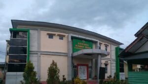 Peringati Hari Kesehatan Jiwa Sedunia, Ini Imbauan Kepala Puskesmas Baebunta Lutra