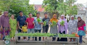 Kelompok Tani Lorong Wisata Panen Sayur Serentak Di Maccini Sombala