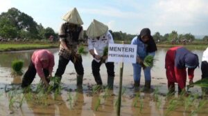 Tanam Padi Bersama Warga Takalar, Mentan SYL Janjikan Ini