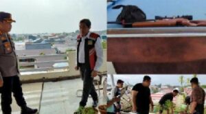 Gerebek Villa Di Gowa, Polisi Temukan Tanaman Ganja Dan Senjata Api