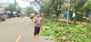 Warga Apresiasi Respons Cepat DLH Pangkas Pohon