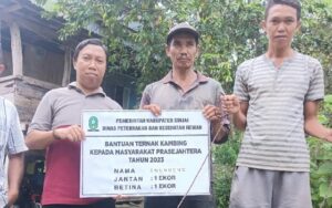 Dinas Peternakan Sinjai Serahkan 48 Kambing Kepada Warga Miskin