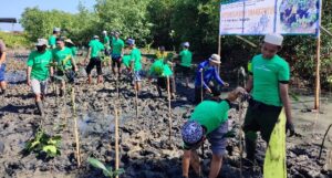 Peringati Hari Mangrove Sedunia BRPBAPPP Maros Lakukan Ini