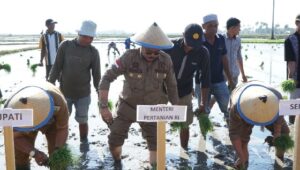 Mentan SYL Berharap Lahan 20 Ribu Hektar Di Bone Jadi Sawah Abadi