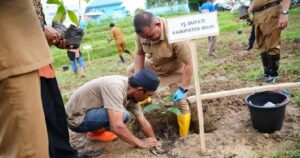 Pj Bupati Sinjai Tanam Sukun Di Tanassang