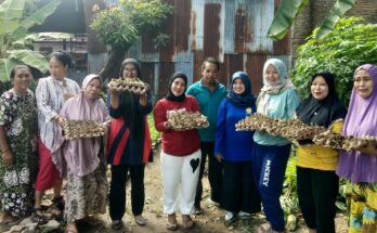 Lurah Parang Tambung tunaikan janji pada ibu-ibu K-Apel (Komunitas Anak Pelangi), serahkan bibit tanaman cabe, Sabtu, 11 Mei 2024