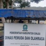 Tenaga honorer Dispora Sinjai empat bulan tak terima gaji, membuat mereka kesulitan memenuhi kebutuhan dasar keluarga.
