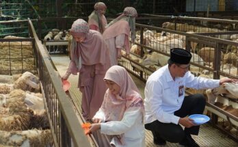 Jelang Hari Raya Iduladha 1445 Hijriah, Rumah Zakat luncurkan #HebatBerqurban Hebatnya Kebaikan untuk Indonesia dan Palestina.