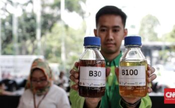 Komisi Eropa selidiki impor biodiesel Indonesia atas dugaan menghindari bea masuk Uni Eropa (UE). Termasuk sejumlah negara Asia lainnya