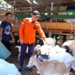 Penerima Manfaat Rumah Zakat Jadi Juragan Kambing