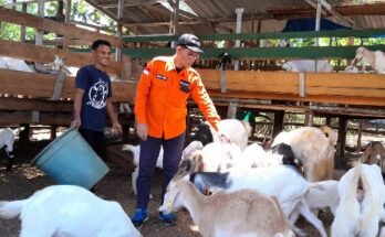 Sebelum menerima bantuan permodalan dari Rumah Zakat, Nahar bekerja sebagai buruh bangunan dengan penghasilan yang tak pasti