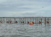 Menteri ATR/BPN batalkan sertifikat pagar misterius di laut Kabupaten Tangerang, Provinsi Banten karena cacat prosedur dan materil