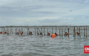 Menteri ATR/BPN batalkan sertifikat pagar misterius di laut Kabupaten Tangerang, Provinsi Banten karena cacat prosedur dan materil