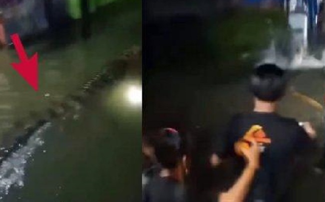 Warga mendadak heboh menyaksikan buaya muncul di pemukiman Antang saat banjir merendam area tersebut, Rabu (12/2/2025) malam