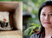 Aktivis Lingkungan Dapat Teror Paket Bangkai Burung