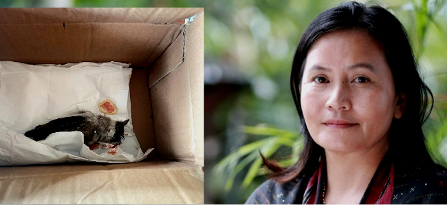 Aktivis Lingkungan Dapat Teror Paket Bangkai Burung