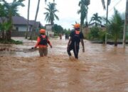 Ratusan Rumah Terendam Banjir Di Larompong Luwu