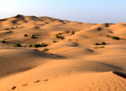 WNI Meninggal di Gurun, Berniat Haji dengan Cara Ilegal