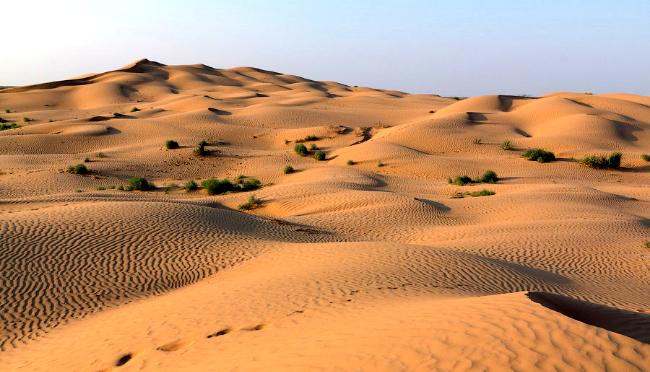 WNI Meninggal di Gurun, Berniat Haji Secara Ilegal tanpa melalui prosedur dengan menumpang taksi gelap masuk ke Makkah.