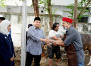 6.432 Ekor Hewan Kurban di Makassar, Pemkot Bagikan Daging untuk Petugas Kebersihan