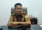 1.682 Ekor Sapi Sinjai Terjual Keluar Daerah