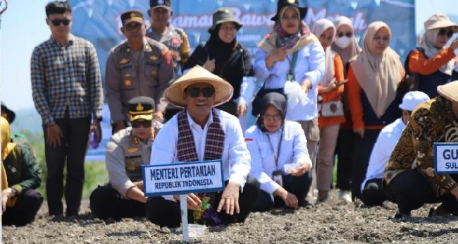 Menteri Pertanian Andi Amran Sulaiman mengatakan Majene bakal menjadi kabupaten bawang sekaligus sentra produksi bawang merah nasional.