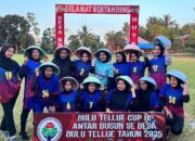 Turnamen Sepak Bola Putri Desa Bulutellue Sinjai Berakhir