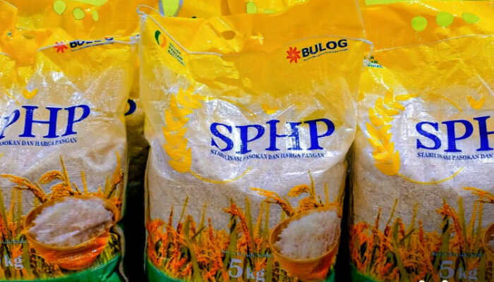 Pemerintah Salurkan Beras Satu Harga SPHP, Ini Kategori Wilayah dan Harganya